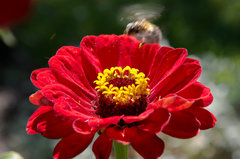 Zakręcony jak bąk :))