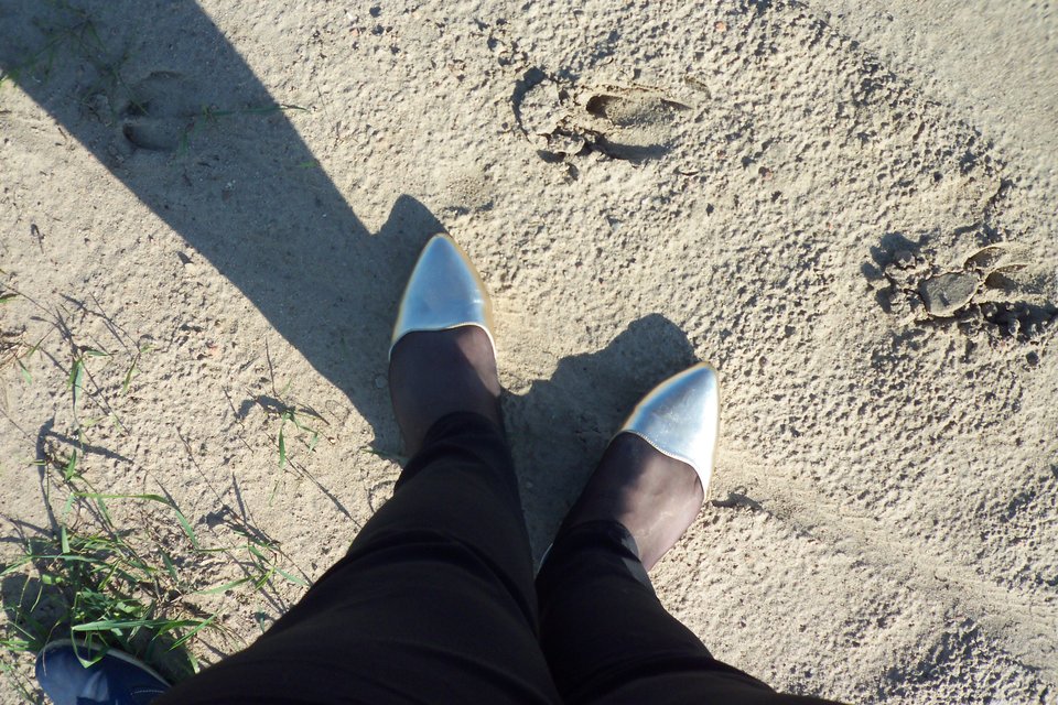 100_5002.JPG - Kamilia