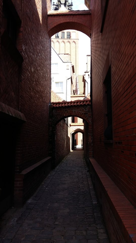 20170816_110549.jpg - Elblag12345