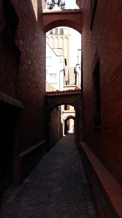 20170816_110549.jpg