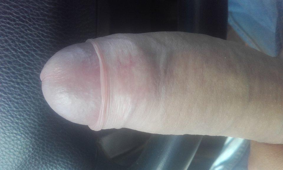 1502972680719-992671897.jpg - Japawel28