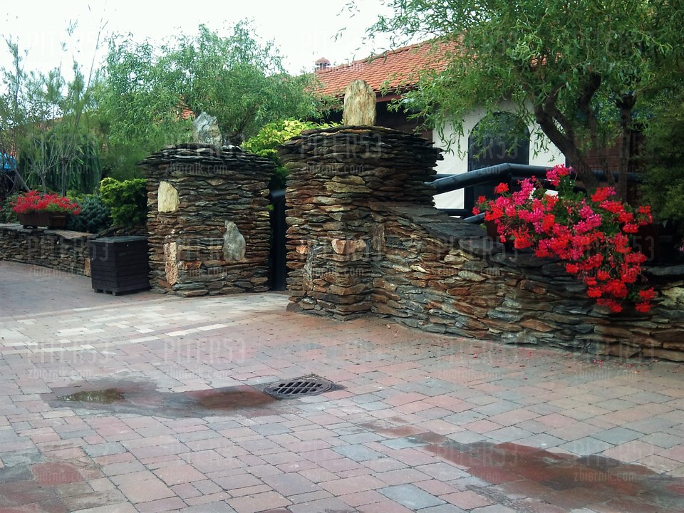 DSC_0965.jpg - Piter53