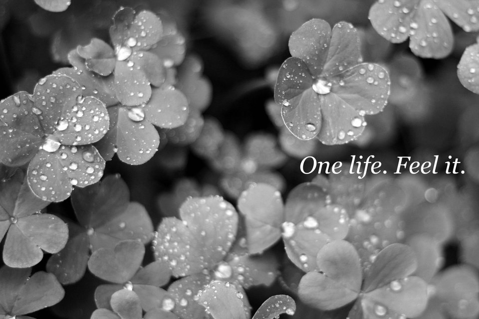 02939_HD.jpg - kinia9