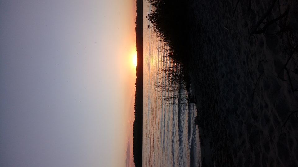 20170805_200923.jpg - pluto64