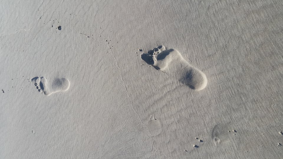 20170824_081318.jpg - PaweliRenia