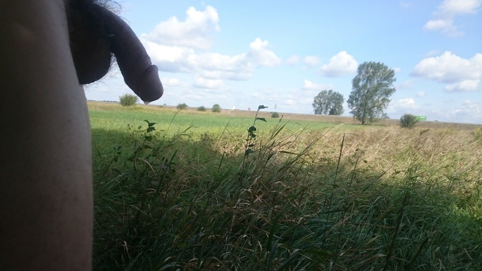 DSC_0669.JPG - andrzej12317