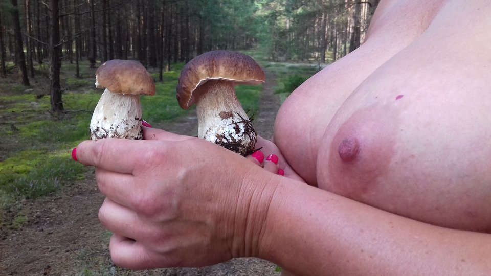 To nasze dzisiejsze prawdziwki 😀 - mucha11