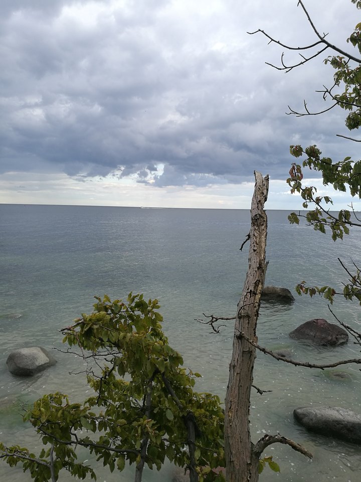 IMG_20170825_171402.jpg - tako1985