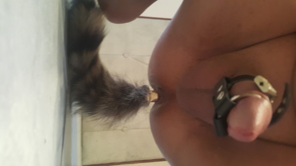 20170826_140636.jpg - sexkoliberki