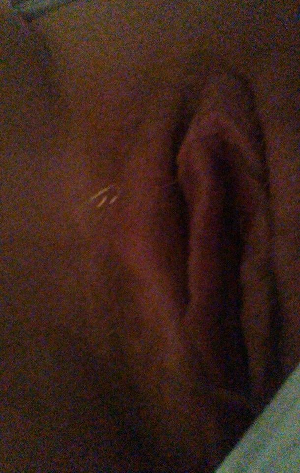 IMG_0978.JPG - zene4321