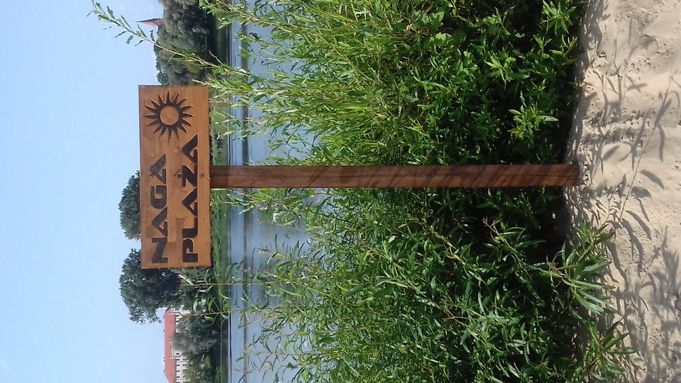 20170831_151756.jpg - skorka75