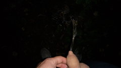 Pola mokotowskie teraaz