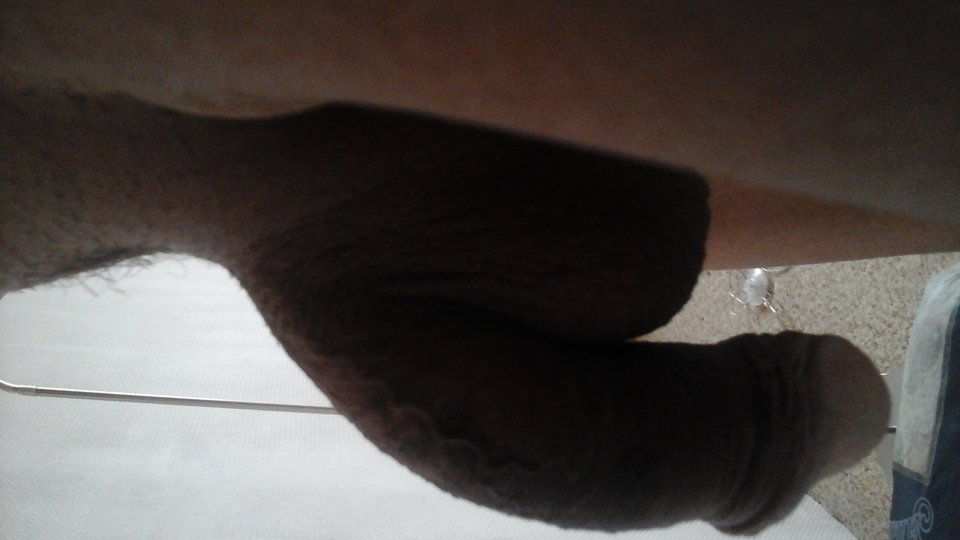 20170906_081619.jpg - martin120174