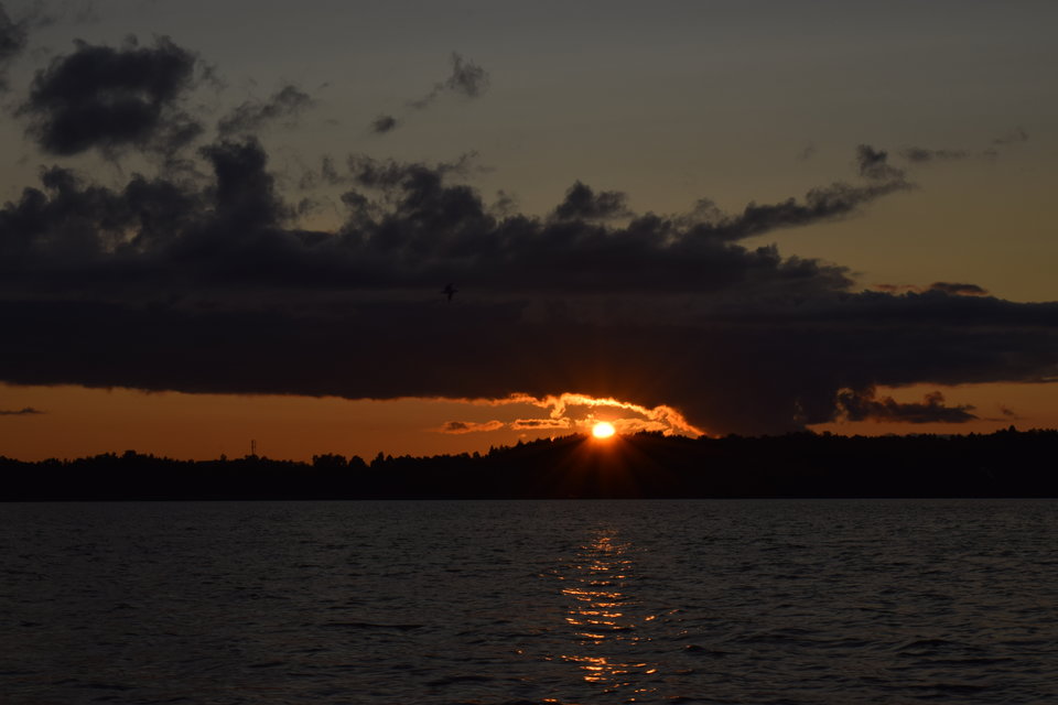 DSC_0815.JPG - pwpara