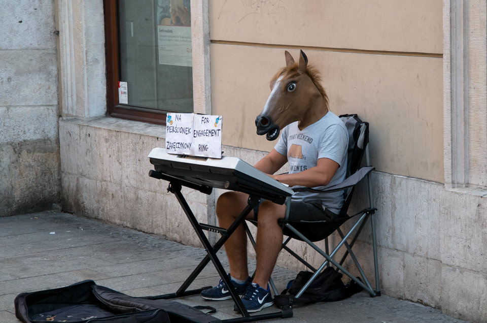 Zakochany koń :)) - mystic