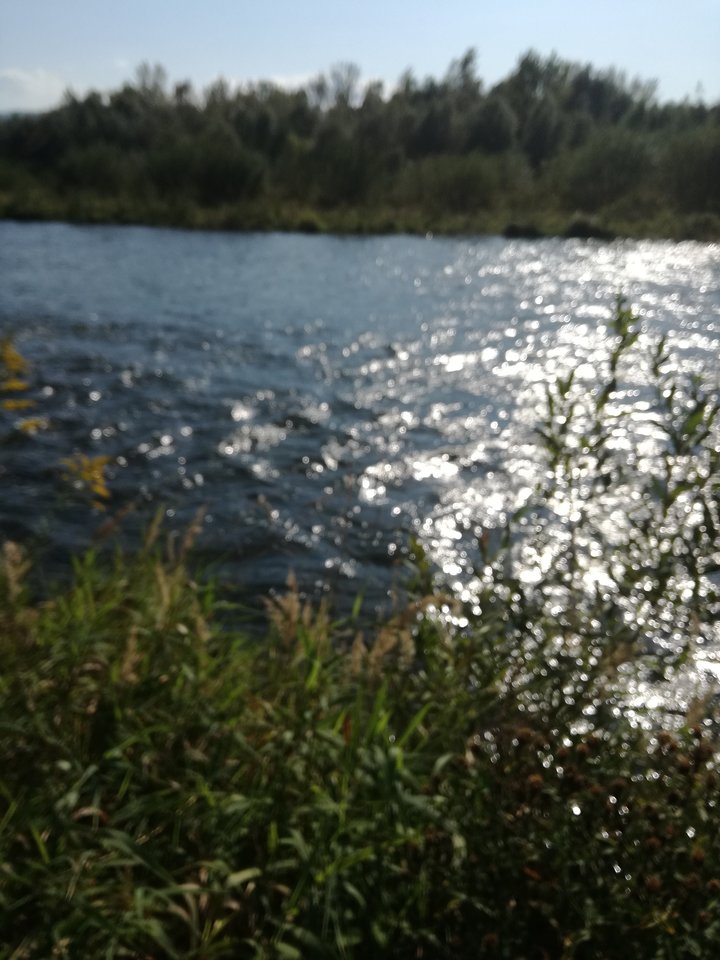 IMG_20170909_152043.jpg - bettka40