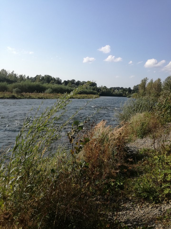 IMG_20170909_152145.jpg - bettka40