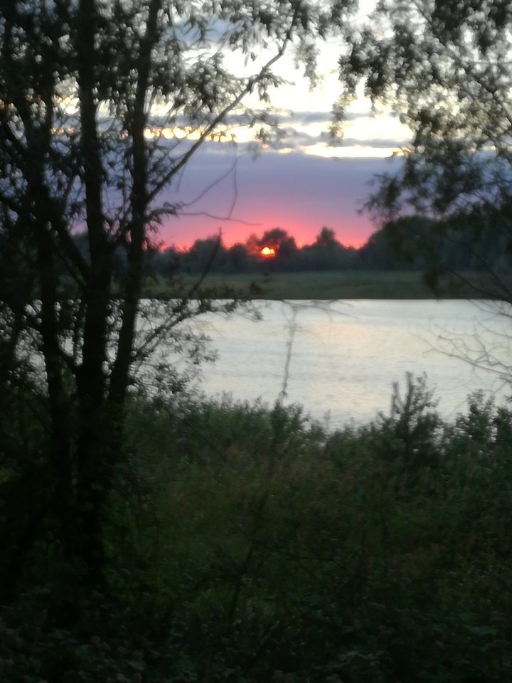 IMG_20170812_201427.jpg - Belgianie