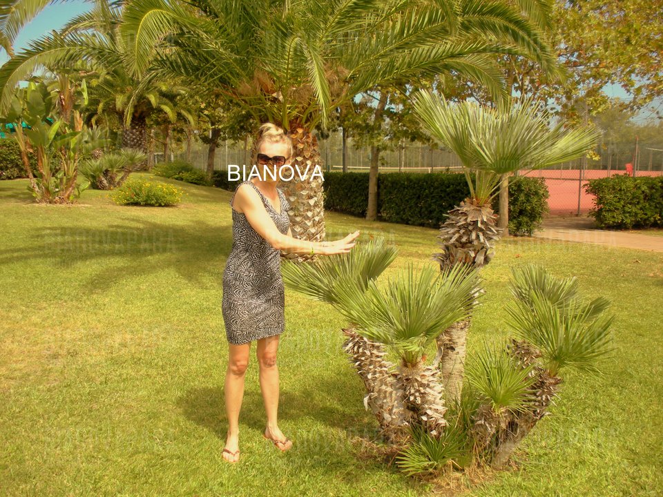 DSCN1657.JPG - bianovapara