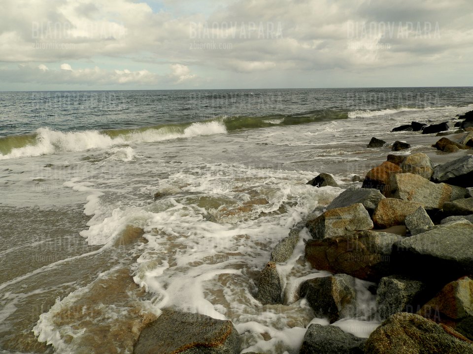 P9308703.JPG - bianovapara