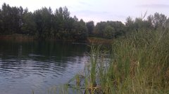 IMAG1224.jpg