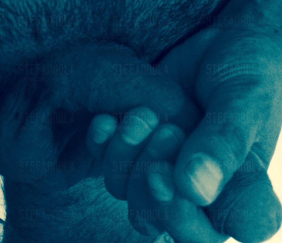 kto pomoże? - Stefanndla