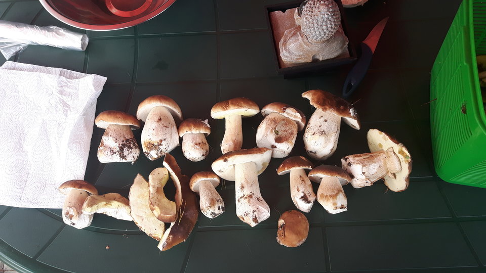 20170910_110506.jpg - szogi1