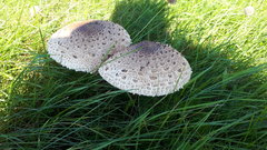 20170916_104741.jpg