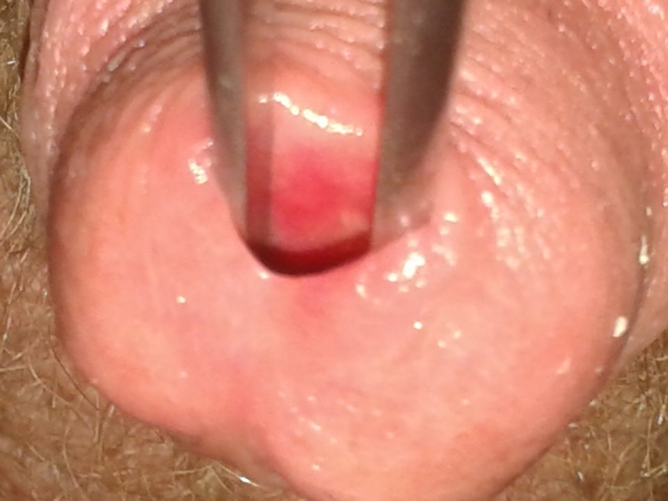 20170917_031640.jpg - janekoko4