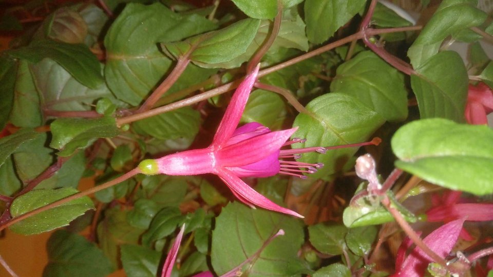 piękno różnorodności - ZwyklyMarek