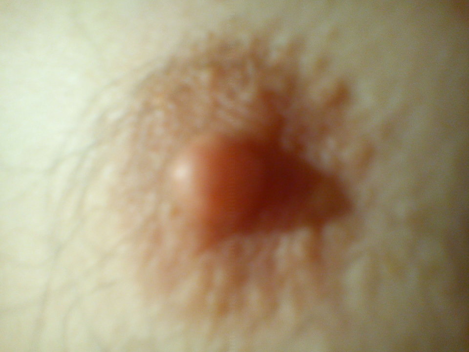 DSC00133.jpg - hectorpolski