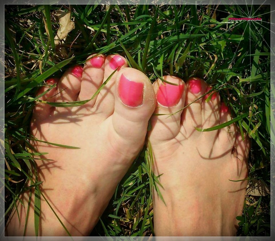 Na łące - 100pa100peczka