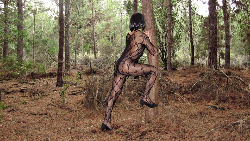 IMG_2386.JPG - Laure