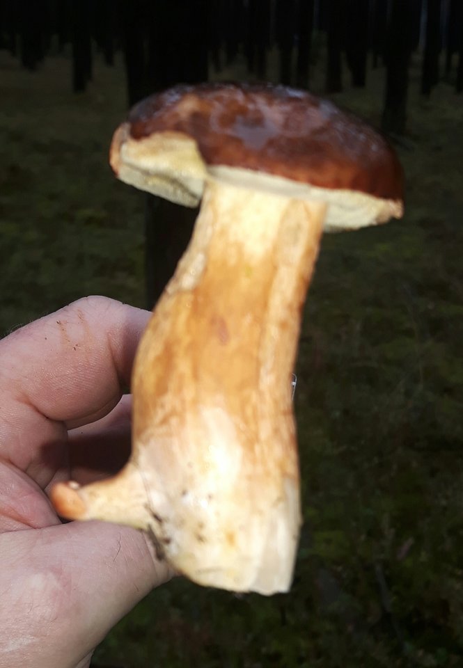 Ejjj malutki malutki.jpg - FanForFun