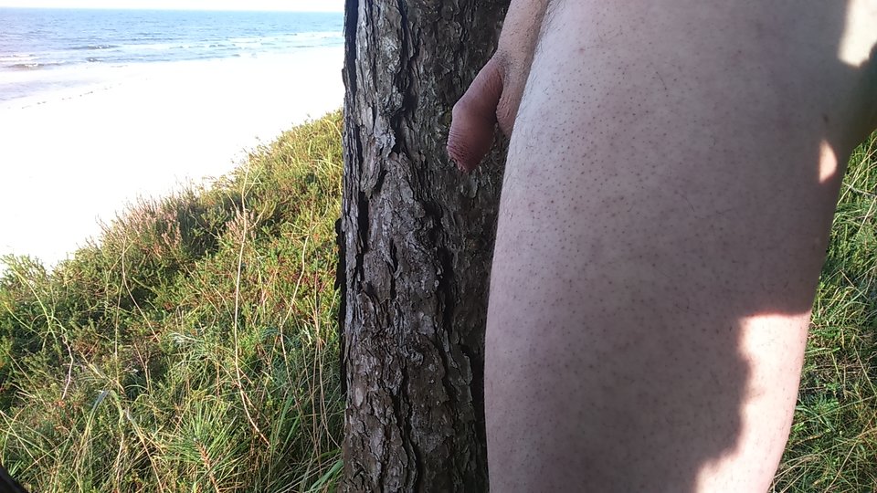 DSC_0855.JPG - artur42wawa