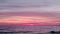 WP_20170927_012[1].jpg