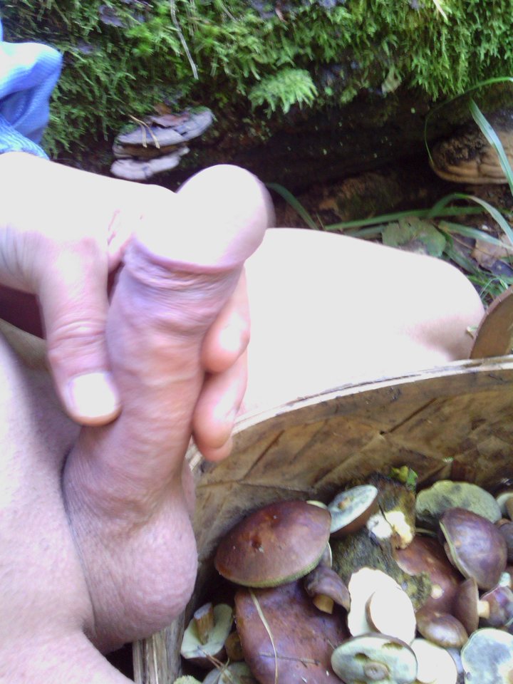 IMG_20170927_112039.jpg - martin120174