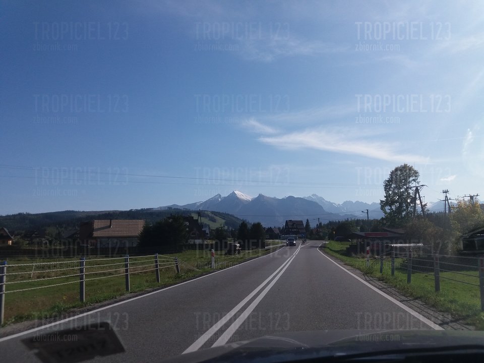 20170927_143045.jpg - tropiciel123