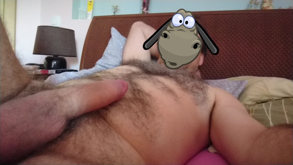 AR_EFFECT_20171001082954.jpg - StandardJanusz