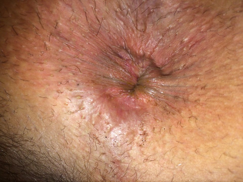 IMG_2793.JPG - bisexja