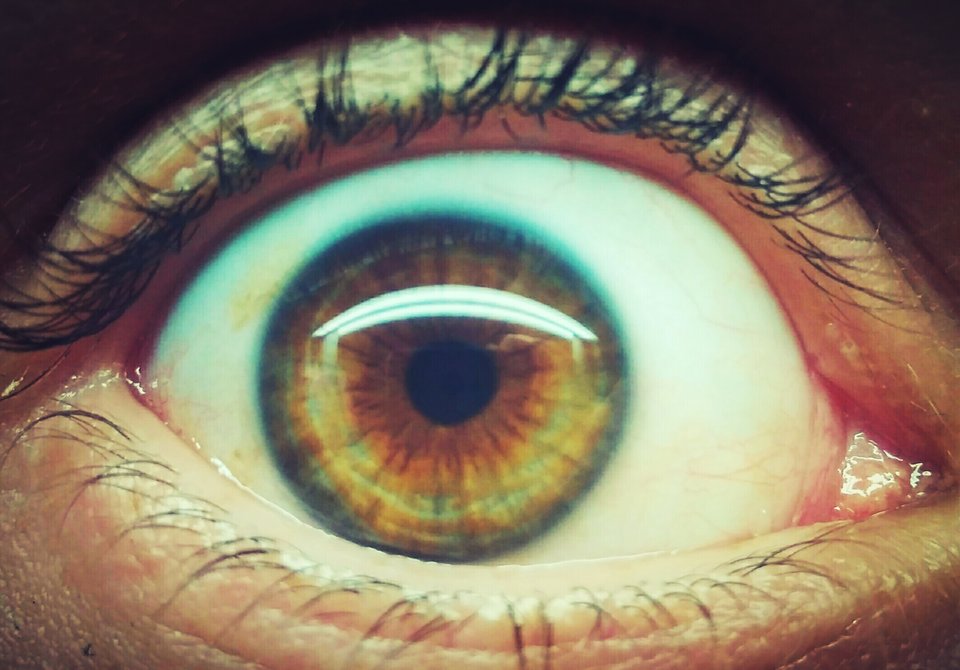 IMG_20171002_142044.jpg - Nieskrytykrytyk