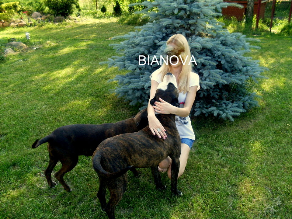 SDC10024.JPG - bianovapara