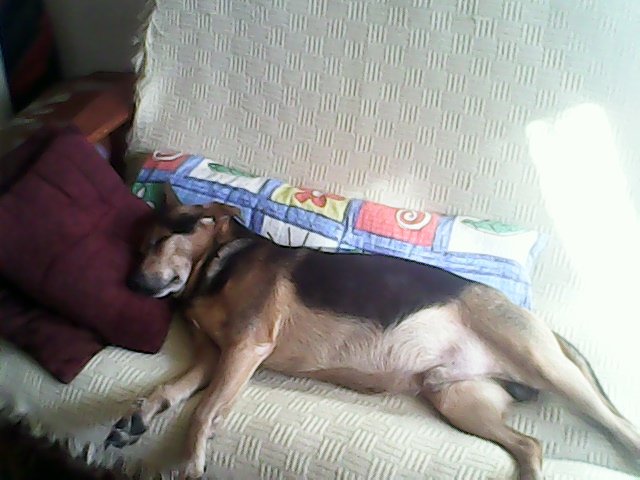 IMG_20150214_132930.jpg - sda47