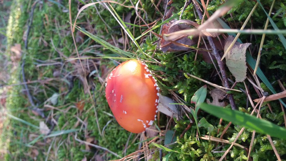 20171008_172655.jpg - Xpress