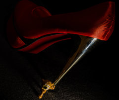 Misie wiedzą co jest dobre...