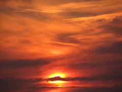 IMG_0023.JPG