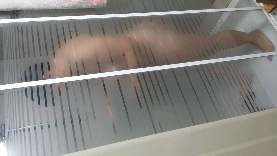 20171014_073628.jpg - Ninjabi