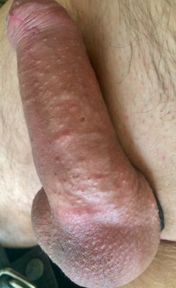 F6903F54-6BCA-4620-AD9A-290AC86553E0.jpeg - bisexja