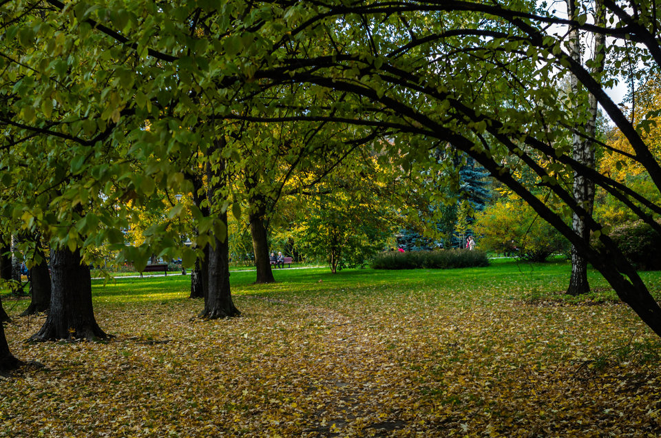 Park Ratuszowy w Nowej Hucie - mystic