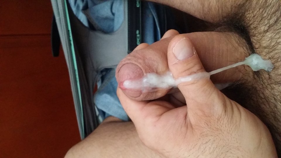 20171016_102026.jpg - iiyama19781229